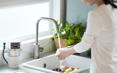 Preventing Foodborne Illnesses with  Ozone Sanitation for the Kitchen
